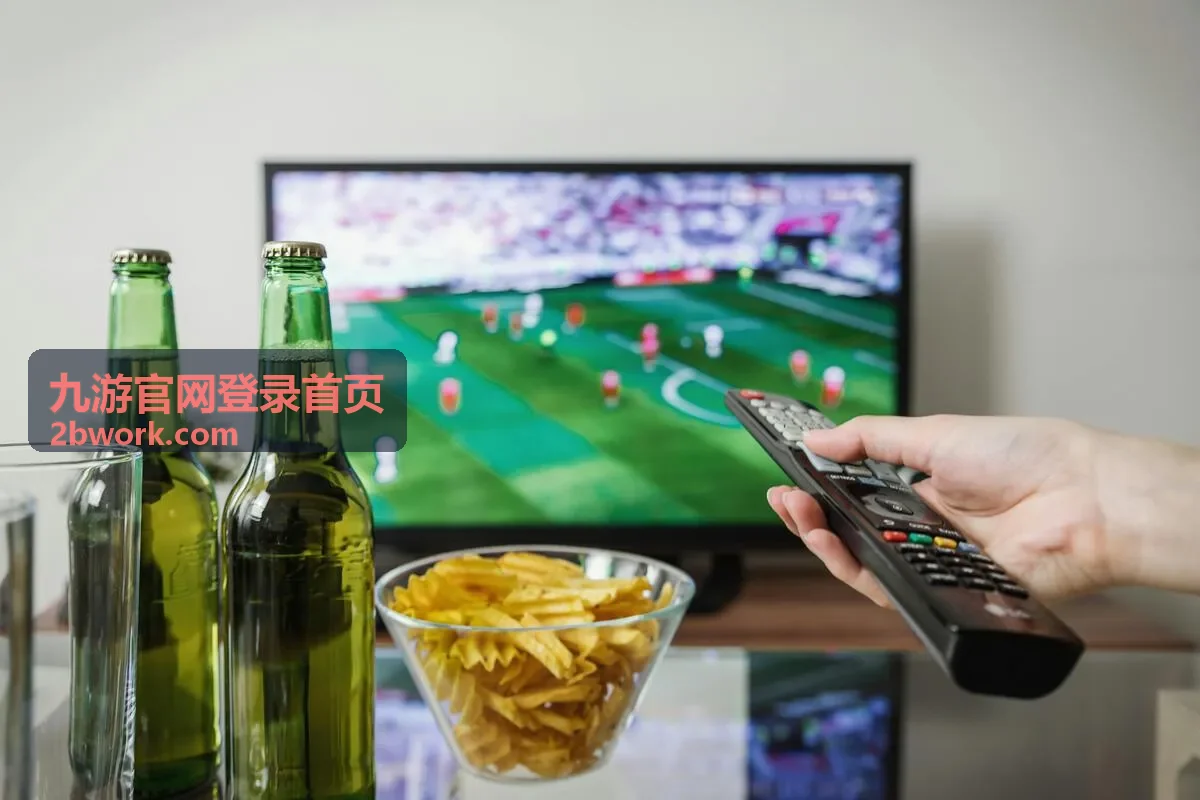 九游官网登录首页登录入口与操作指引界面示意