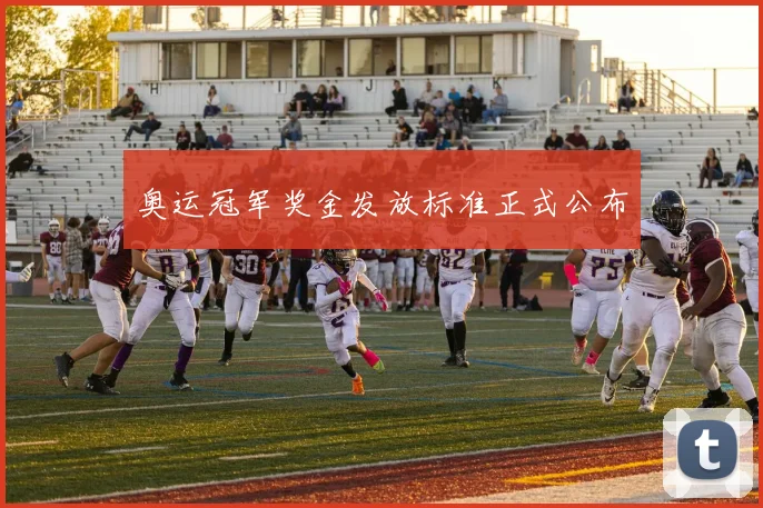 奥运冠军奖金发放标准正式公布