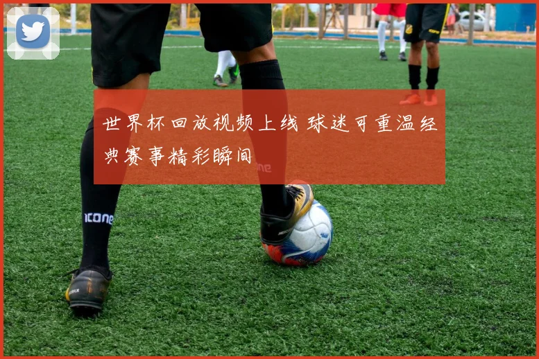 世界杯回放视频上线 球迷可重温经典赛事精彩瞬间