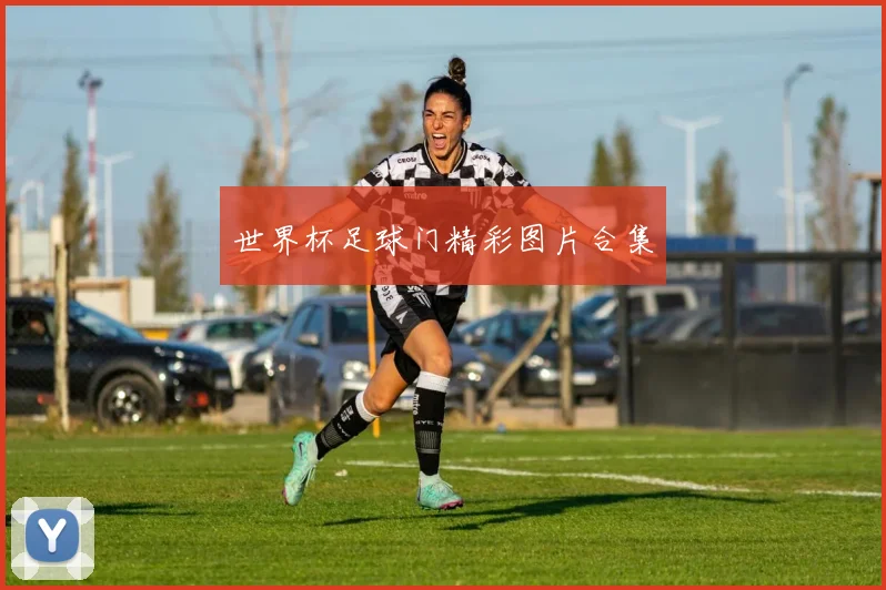 世界杯足球门精彩图片合集
