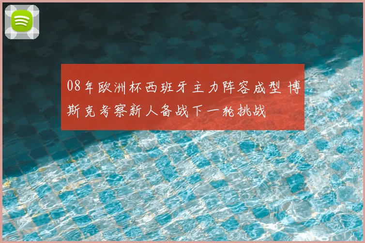 08年欧洲杯西班牙主力阵容成型 博斯克考察新人备战下一轮挑战